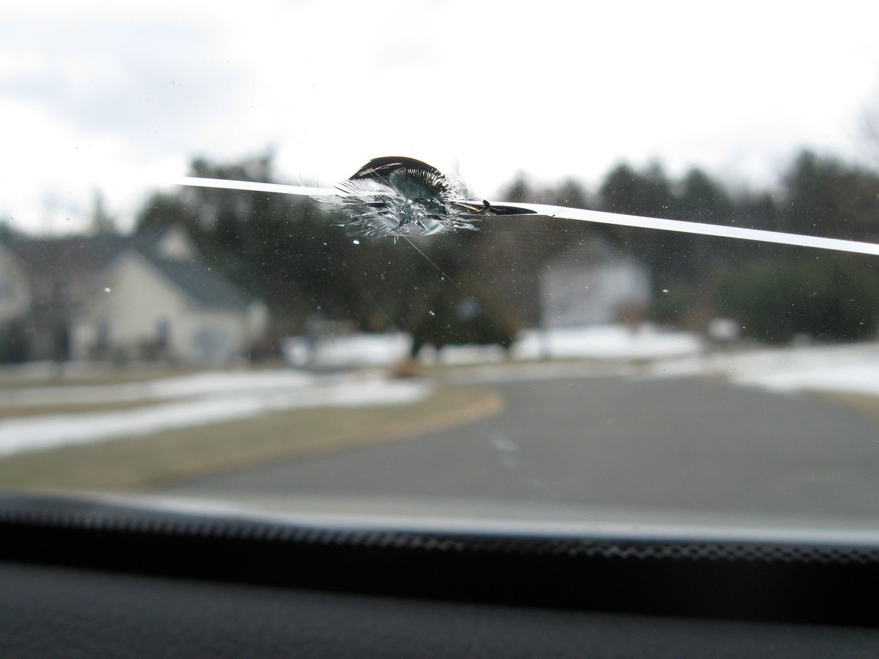 Signs You Should Repair Your Auto Glass
